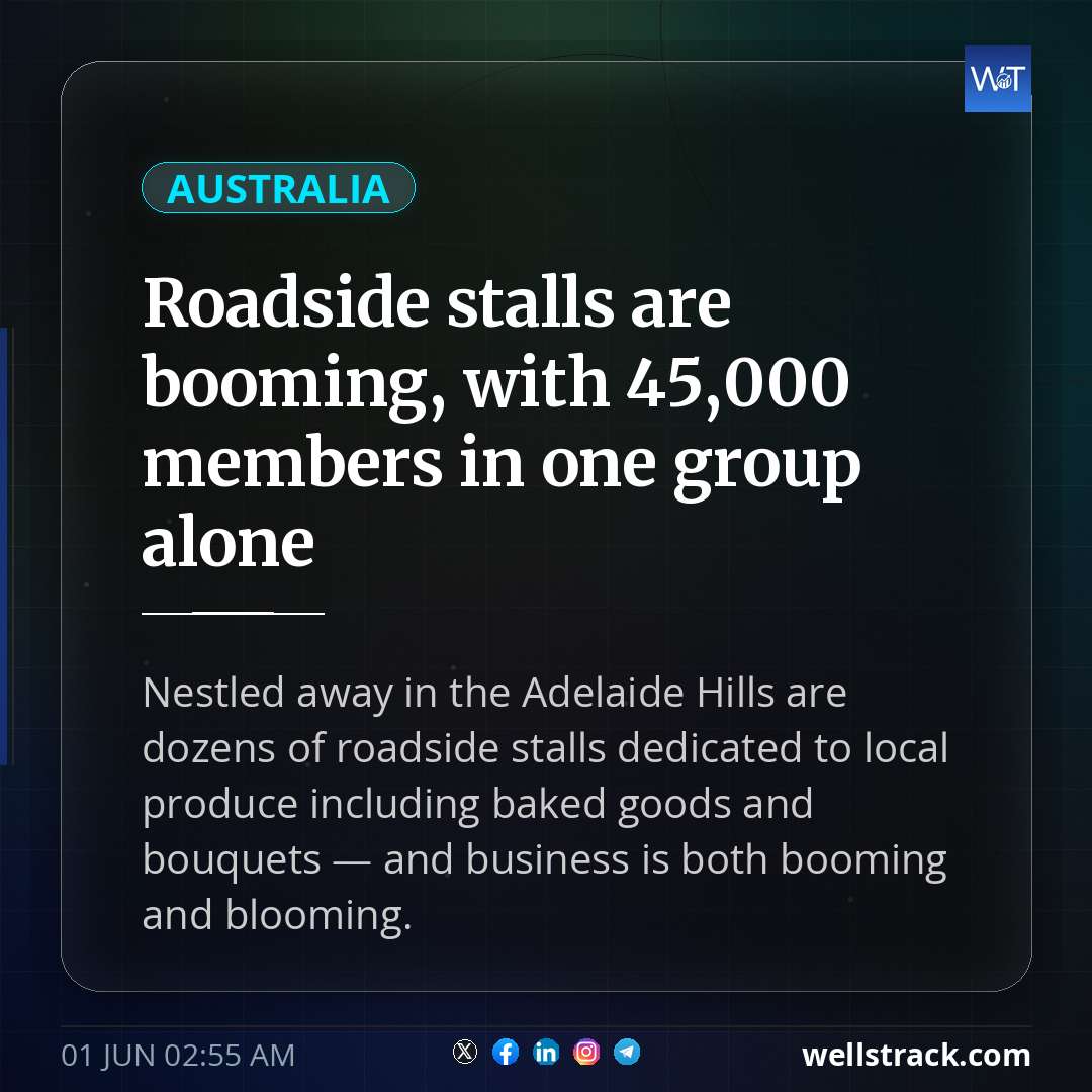 Roadside stalls are booming, with 45,000 members in one group alone — WellsTrack