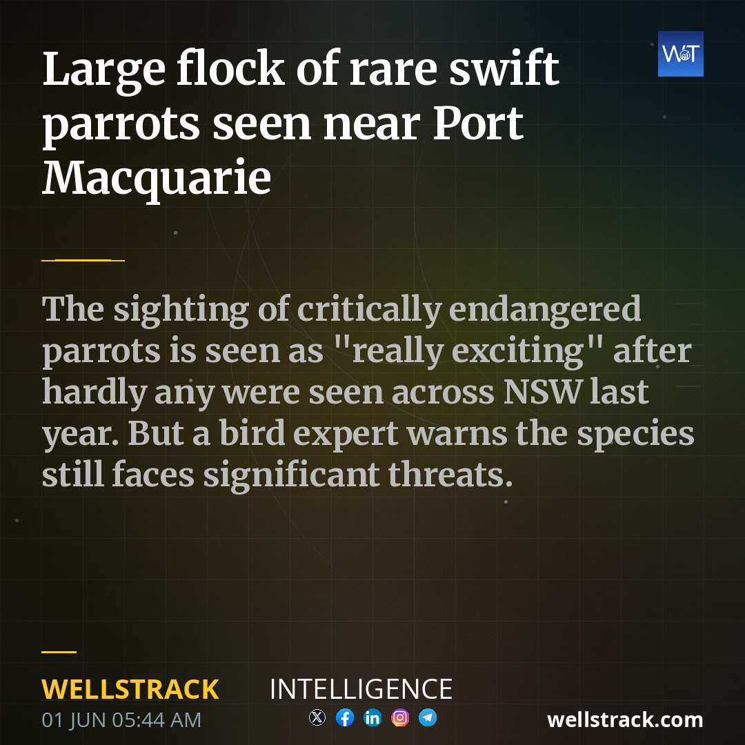 Large flock of rare swift parrots seen near Port Macquarie — WellsTrack