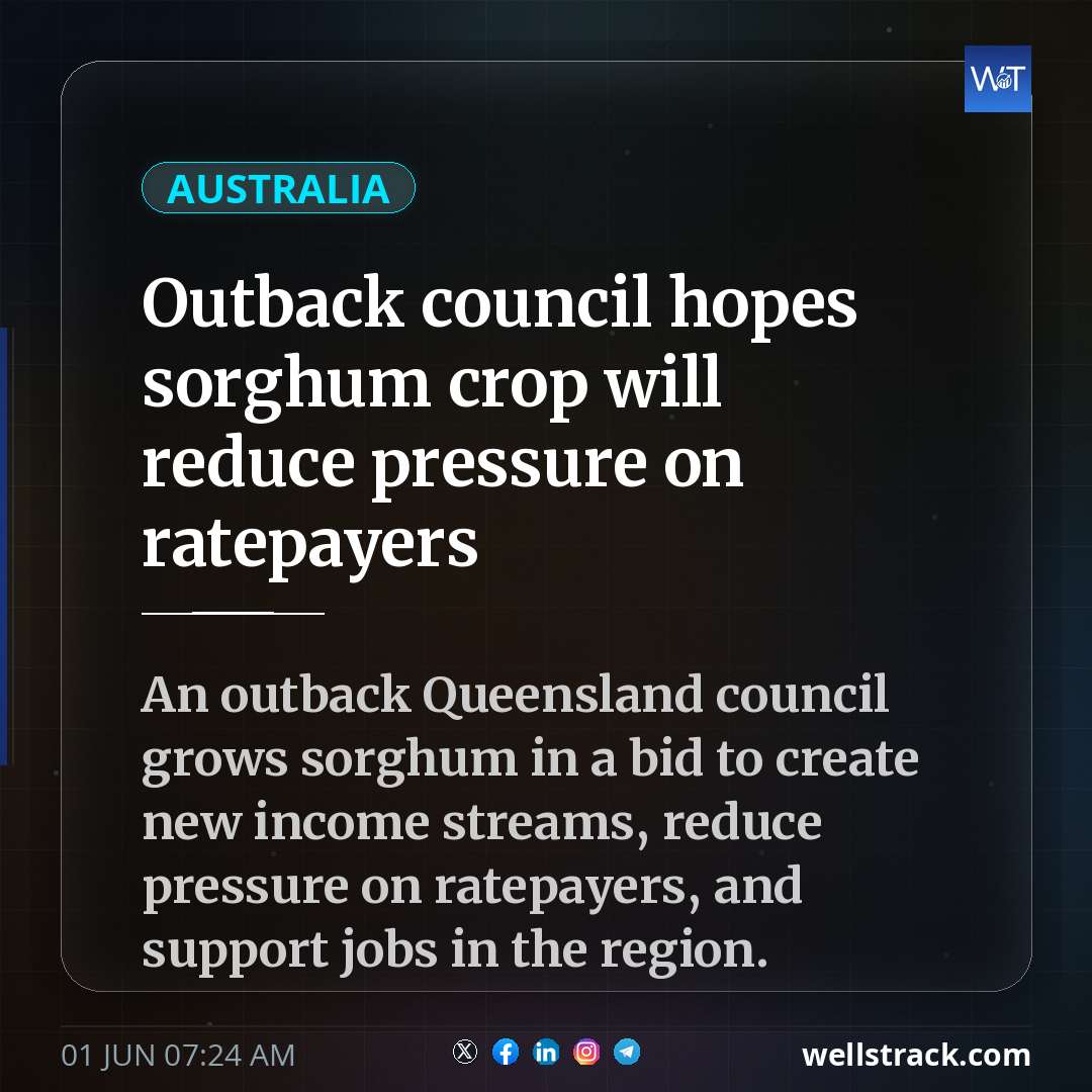 Outback council hopes sorghum crop will reduce pressure on ratepayers — WellsTrack
