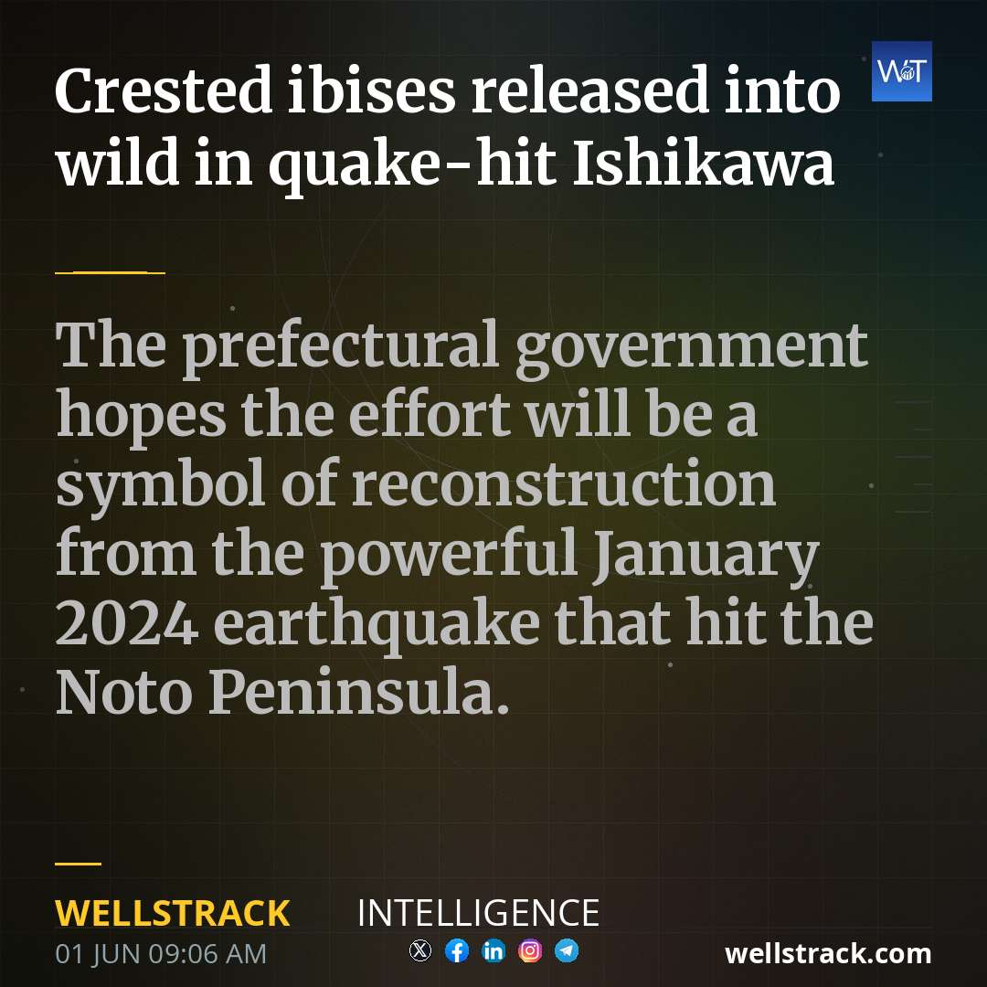 Crested ibises released into wild in quake-hit Ishikawa — WellsTrack