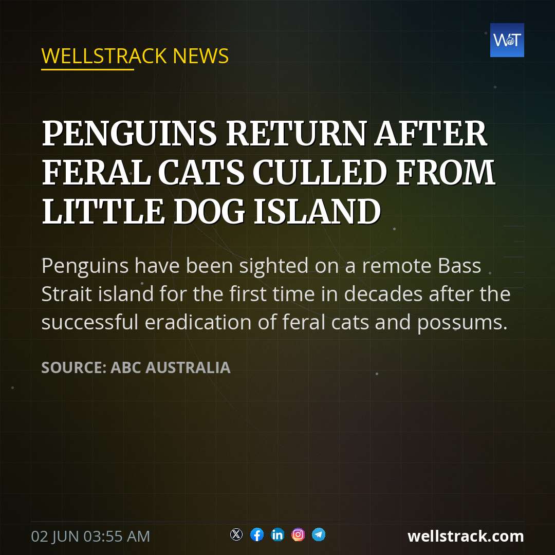 Penguins return after feral cats culled from Little Dog Island — WellsTrack