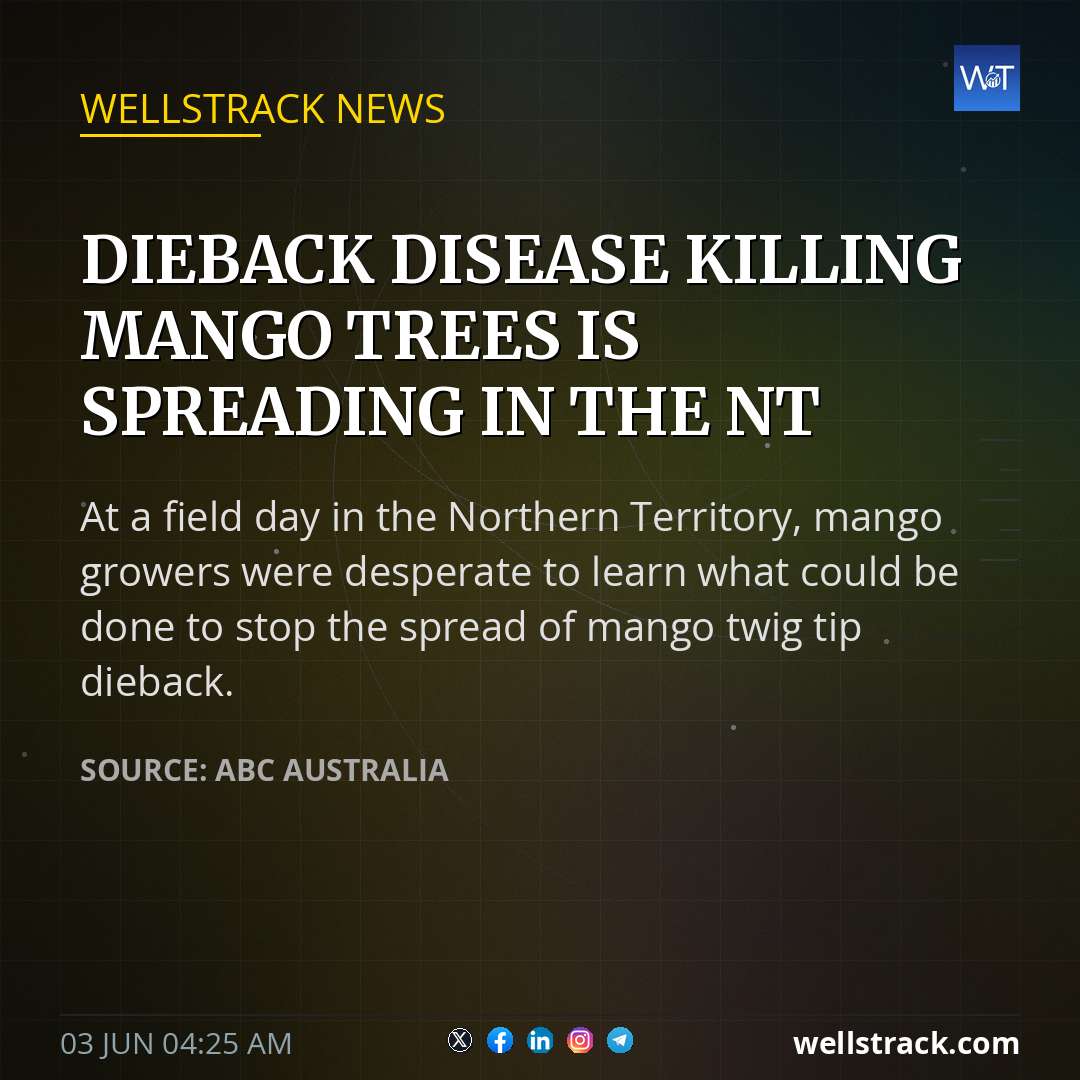 Dieback disease killing mango trees is spreading in the NT