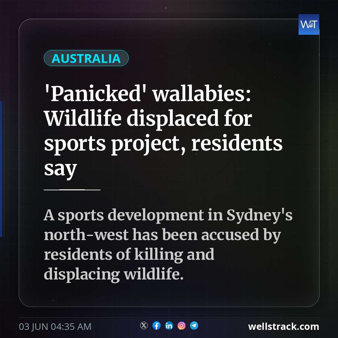 'Panicked' wallabies: Wildlife displaced for sports project, residents say — WellsTrack