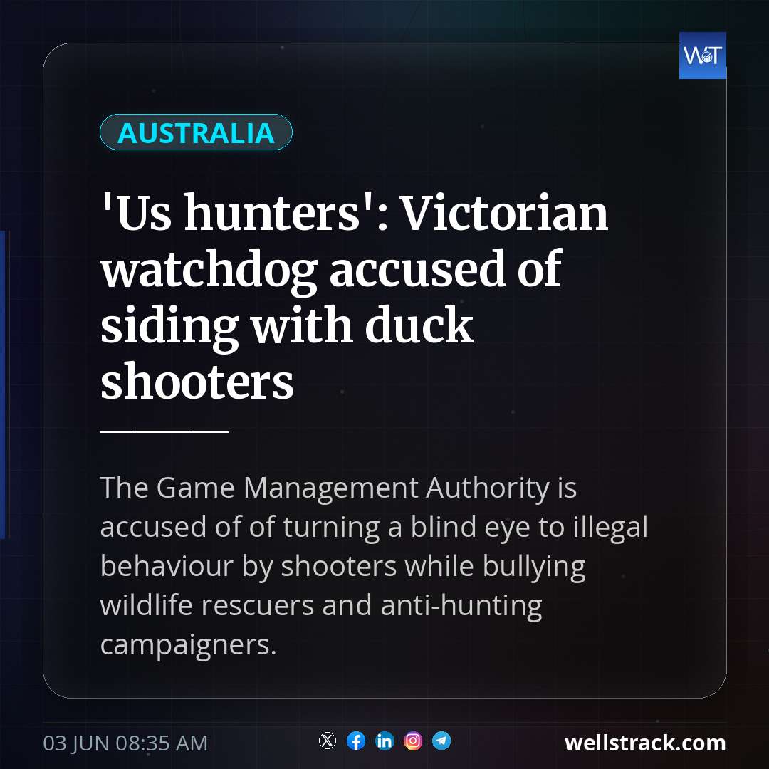 'Us hunters': Victorian watchdog accused of siding with duck shooters — WellsTrack