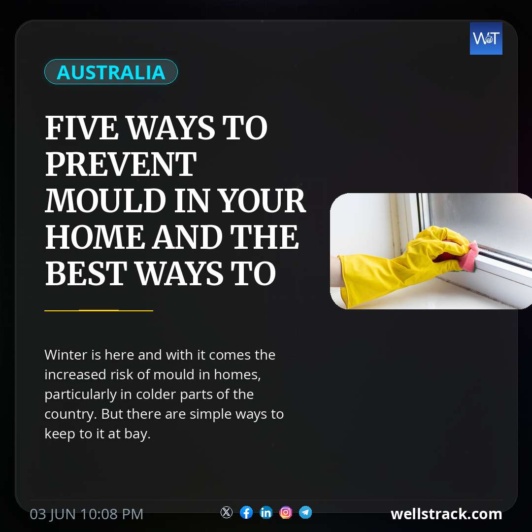 Five ways to prevent mould in your home and the best ways to clean it — WellsTrack