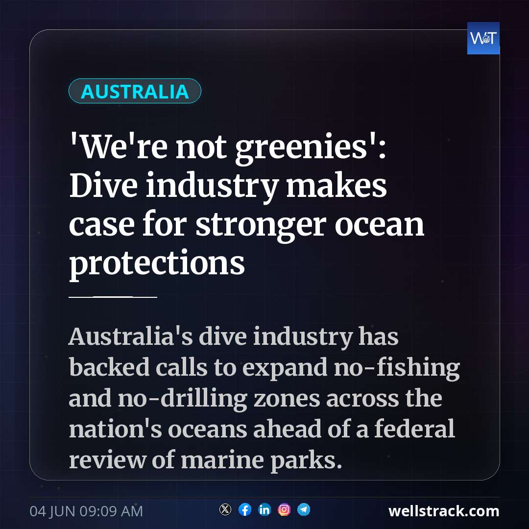 'We're not greenies': Dive industry makes case for stronger ocean protections