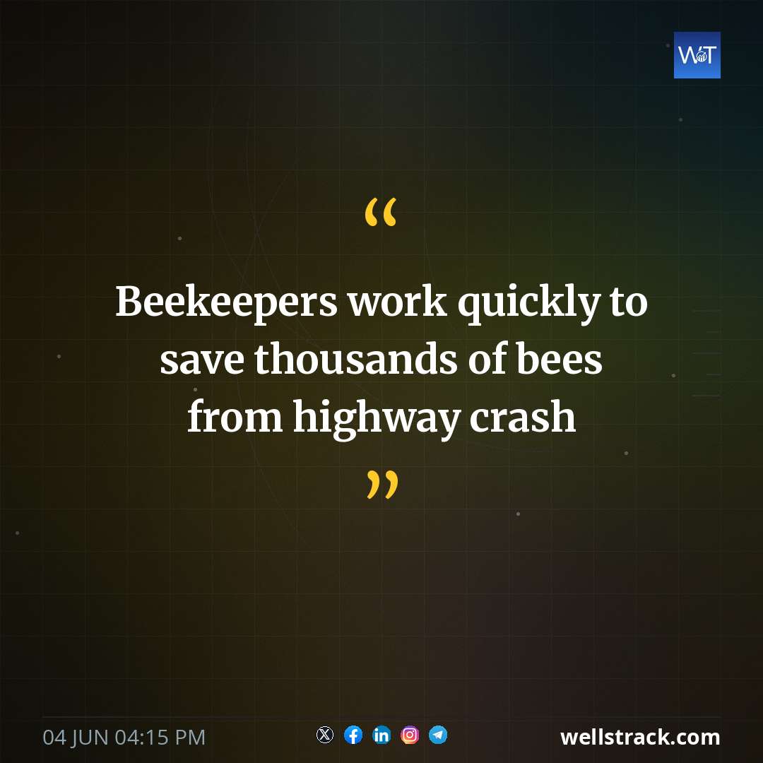 Beekeepers work quickly to save thousands of bees from highway crash — WellsTrack