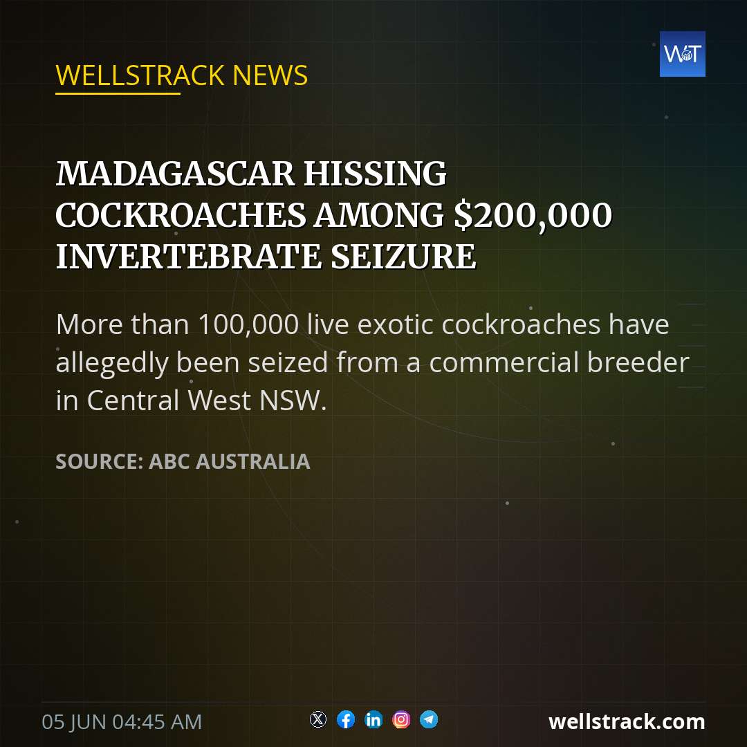 Madagascar hissing cockroaches among $200,000 invertebrate seizure