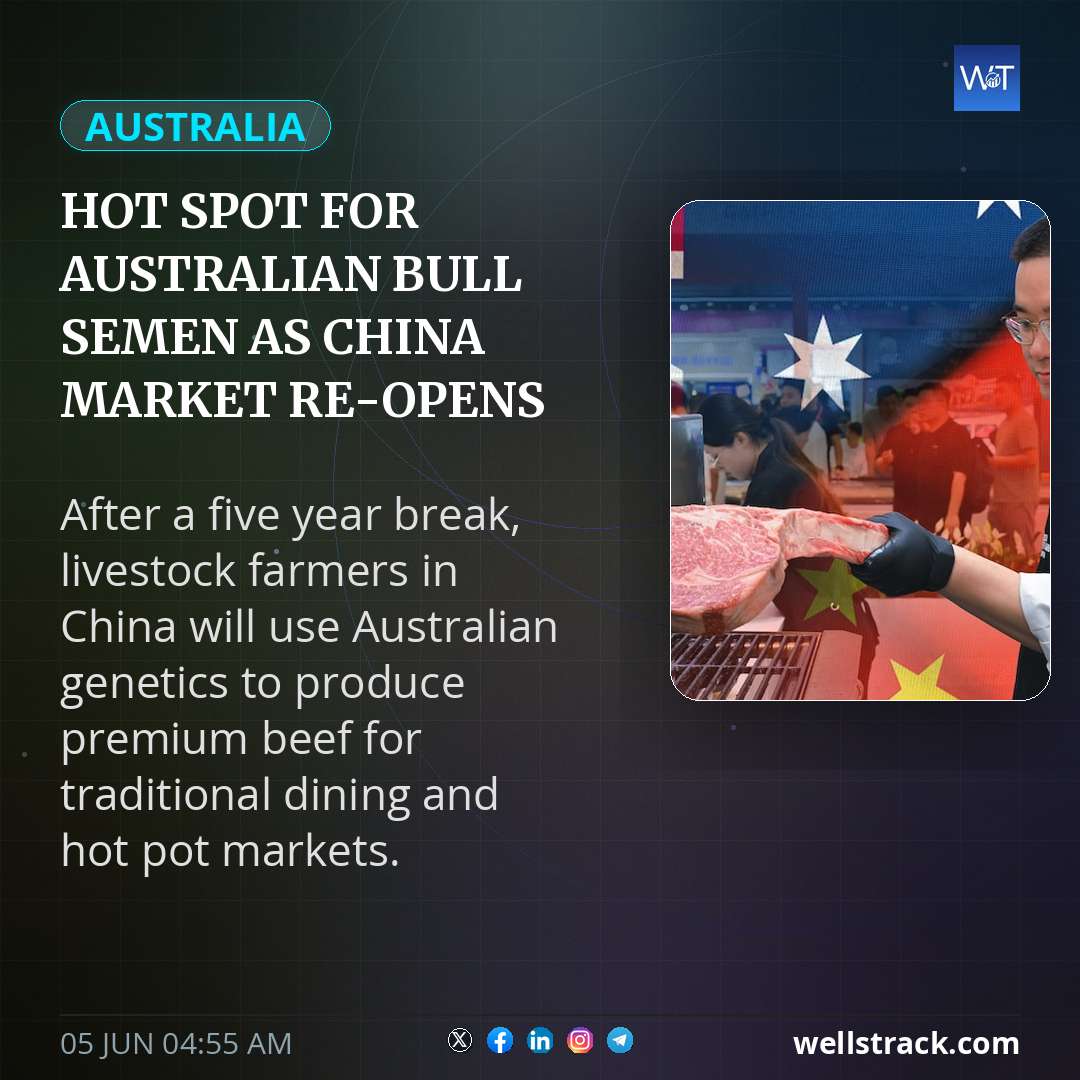 Hot spot for Australian bull semen as China market re-opens