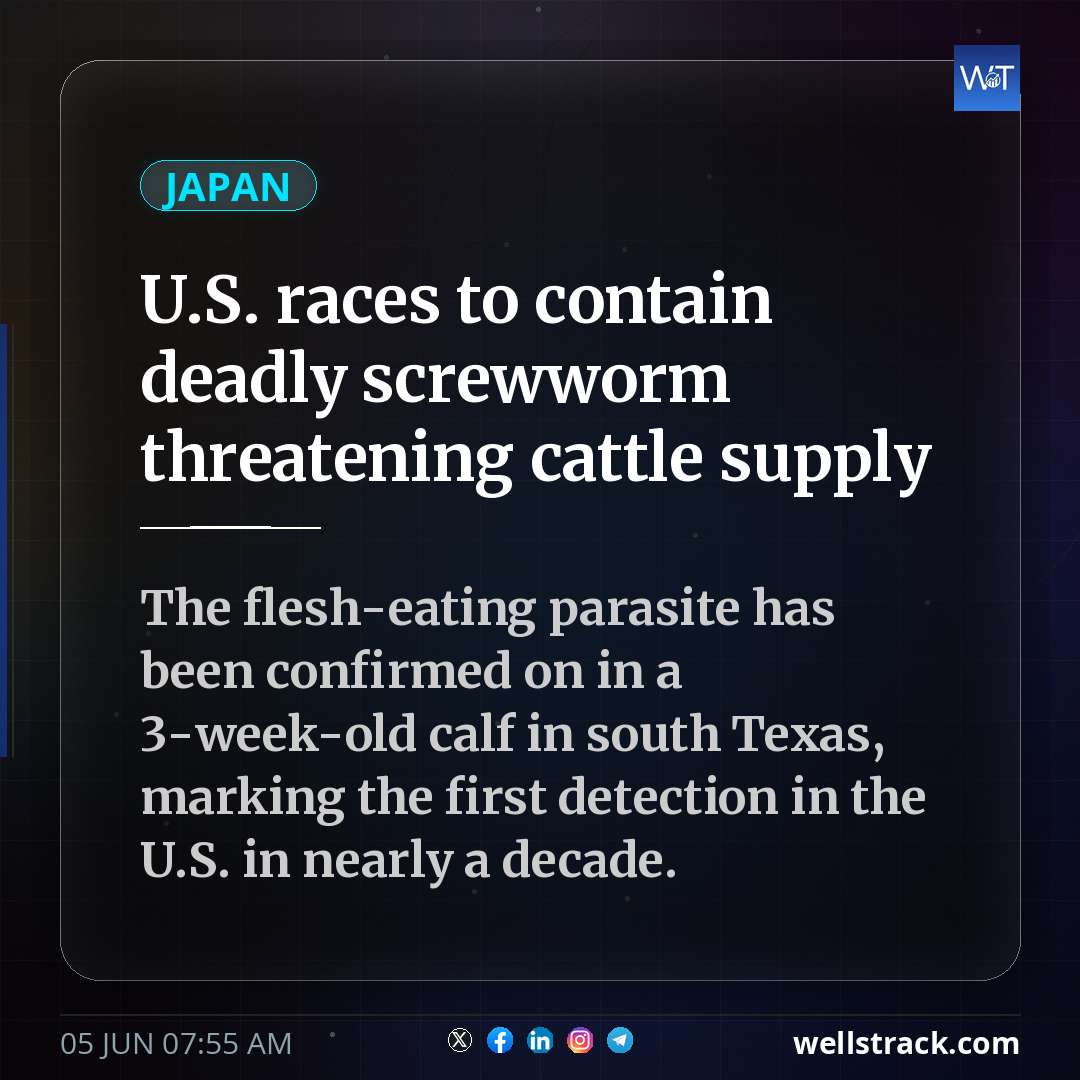 U.S. races to contain deadly screwworm threatening cattle supply
