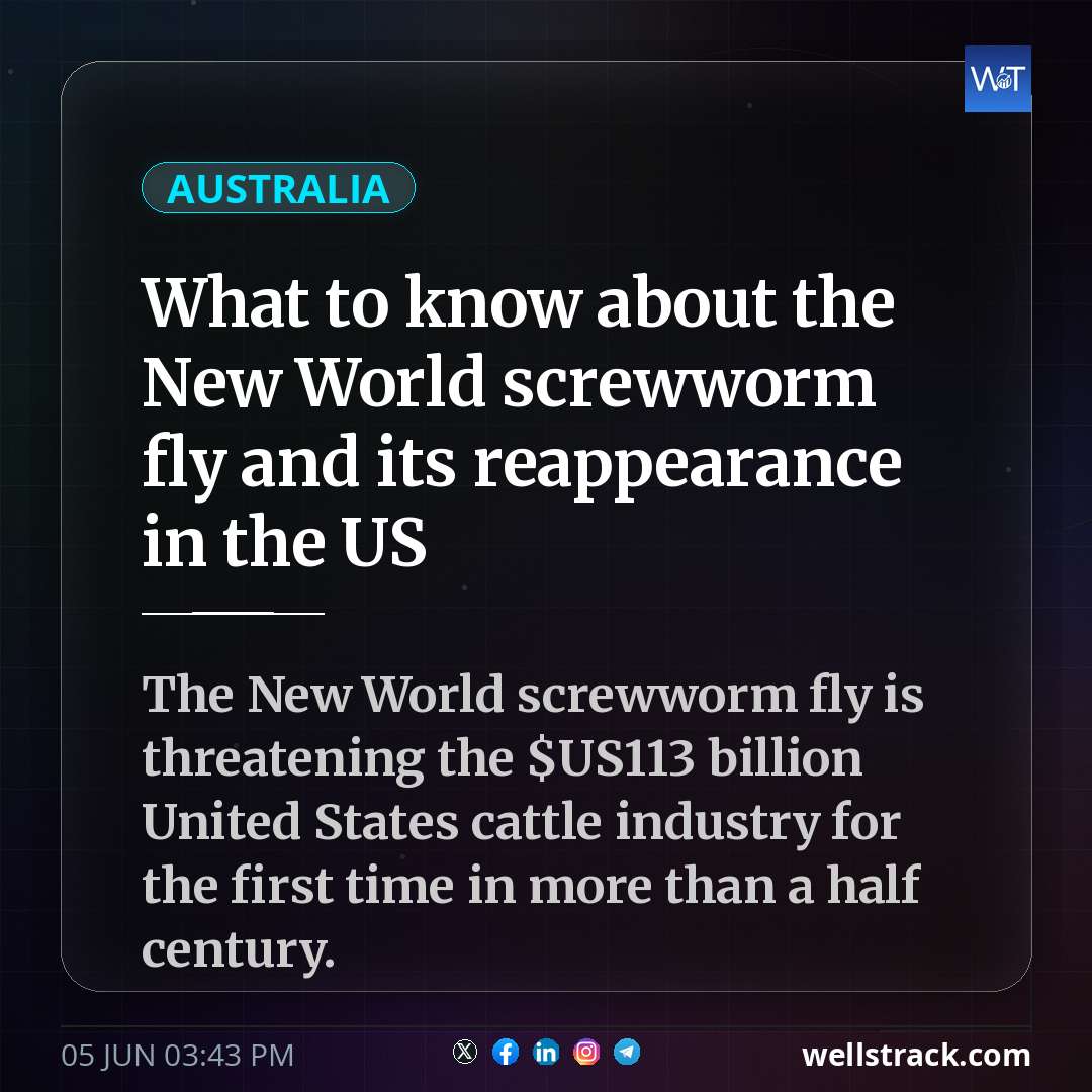 What to know about the New World screwworm fly and its reappearance in the US — WellsTrack
