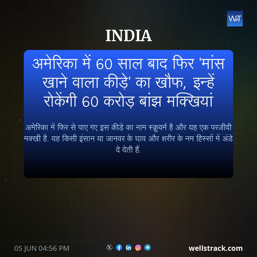 अमेरिका में 60 साल बाद फिर 'मांस खाने वाला कीड़े' का खौफ, इन्हें रोकेंगी 60 करोड़ बांझ मक्खियां