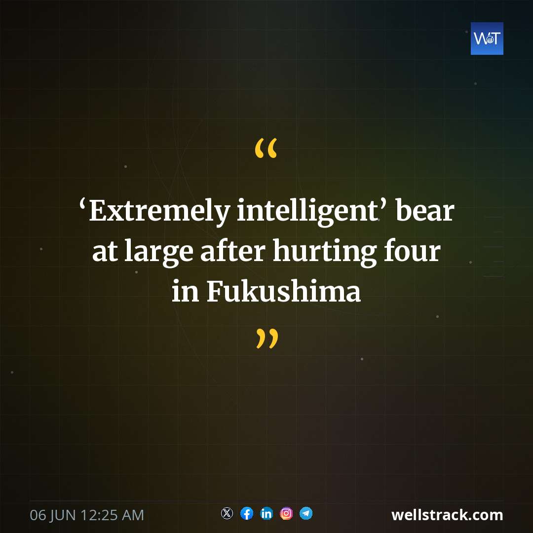 ‘Extremely intelligent’ bear at large after hurting four in Fukushima
