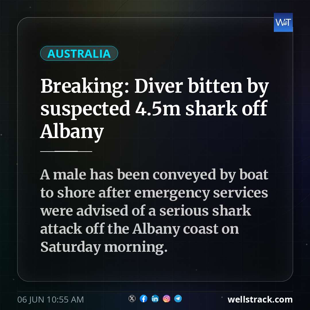 Breaking: Diver bitten by suspected 4.5m shark off Albany