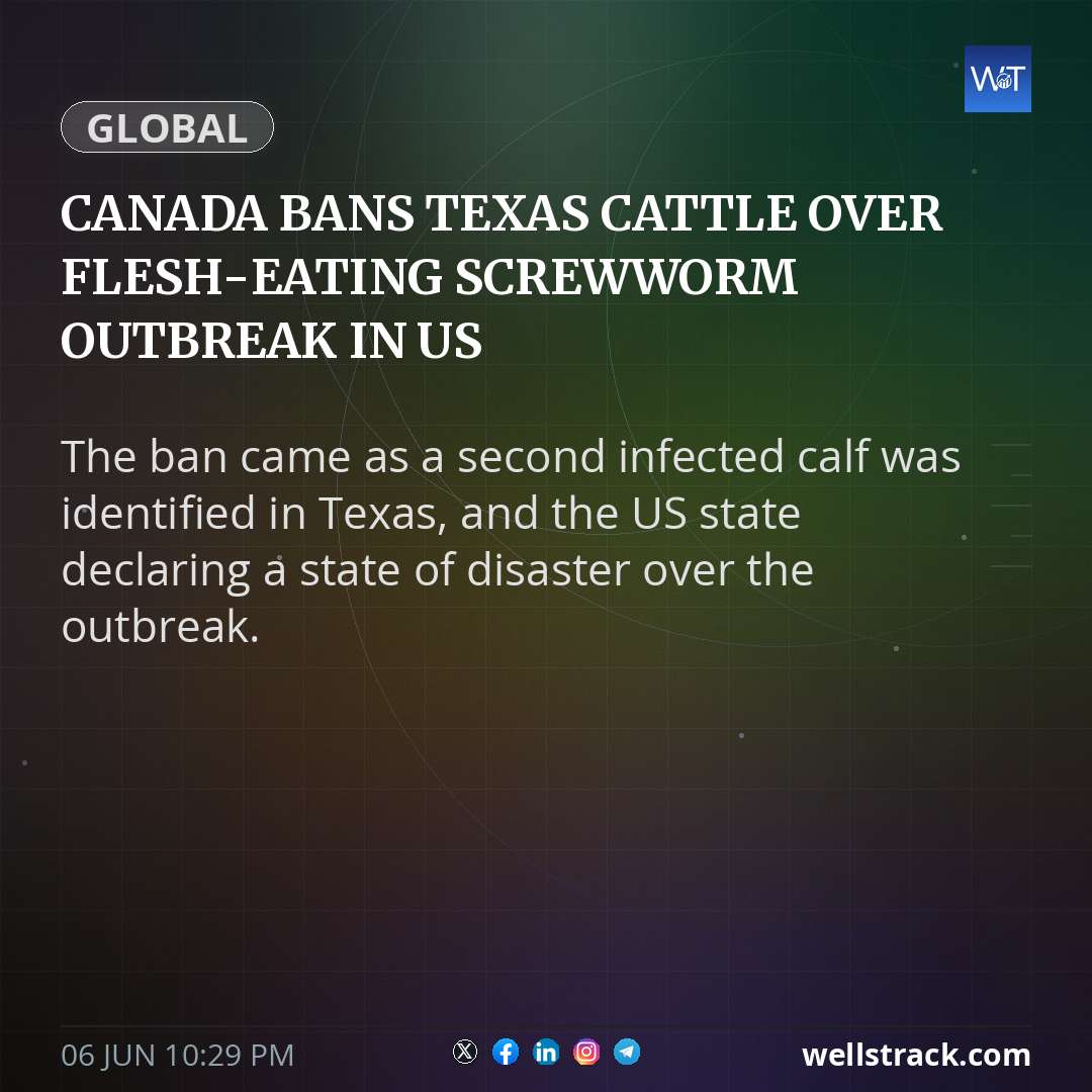 Canada bans Texas cattle over flesh-eating screwworm outbreak in US — WellsTrack