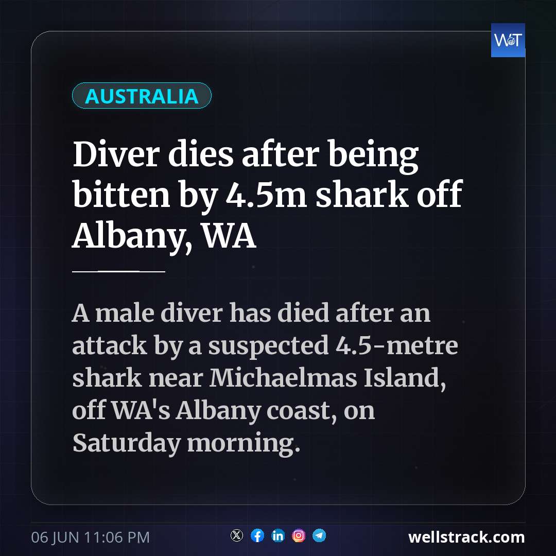 Diver dies after being bitten by 4.5m shark off Albany, WA — WellsTrack