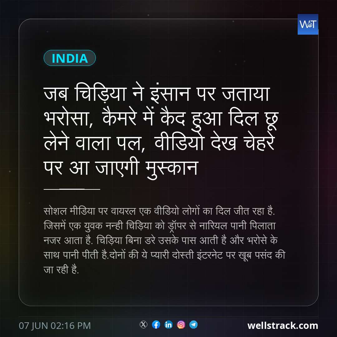 जब चिड़िया ने इंसान पर जताया भरोसा, कैमरे में कैद हुआ दिल छू लेने वाला पल, वीडियो देख चेहरे पर आ जाएगी मुस्कान