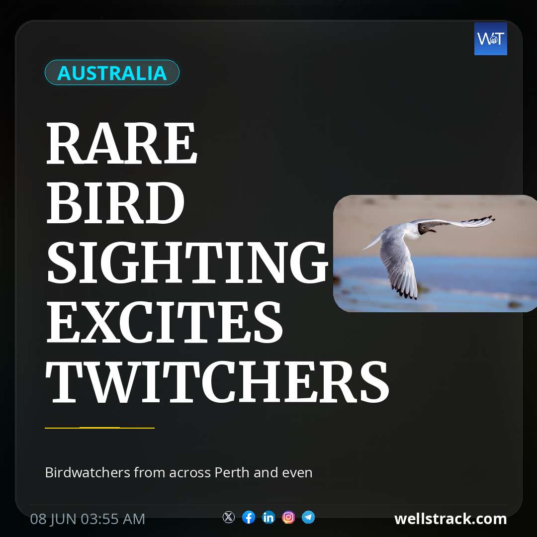 Rare bird sighting excites twitchers