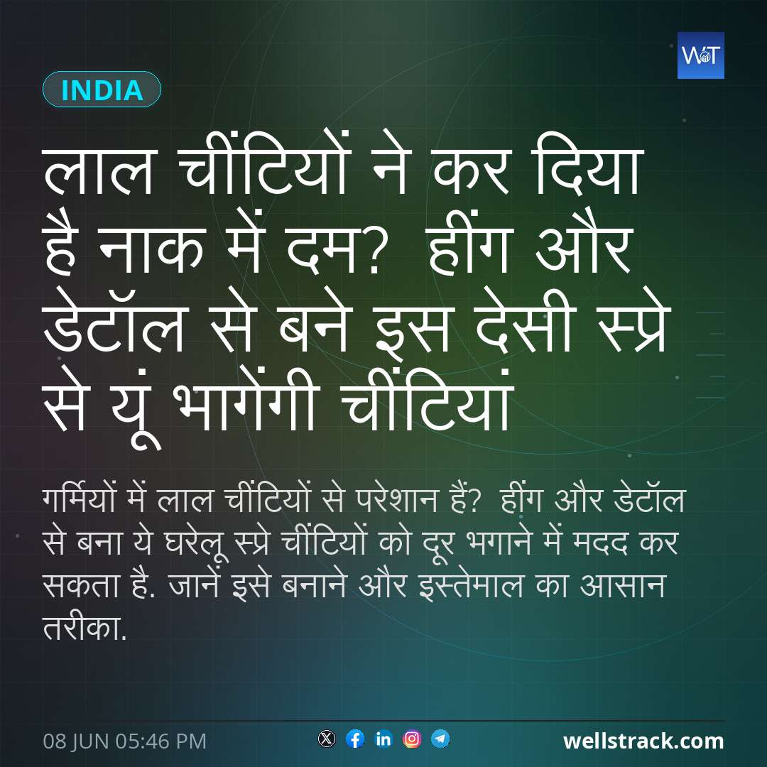 लाल चींटियों ने कर दिया है नाक में दम? हींग और डेटॉल से बने इस देसी स्प्रे से यूं भागेंगी चींटियां — WellsTrack