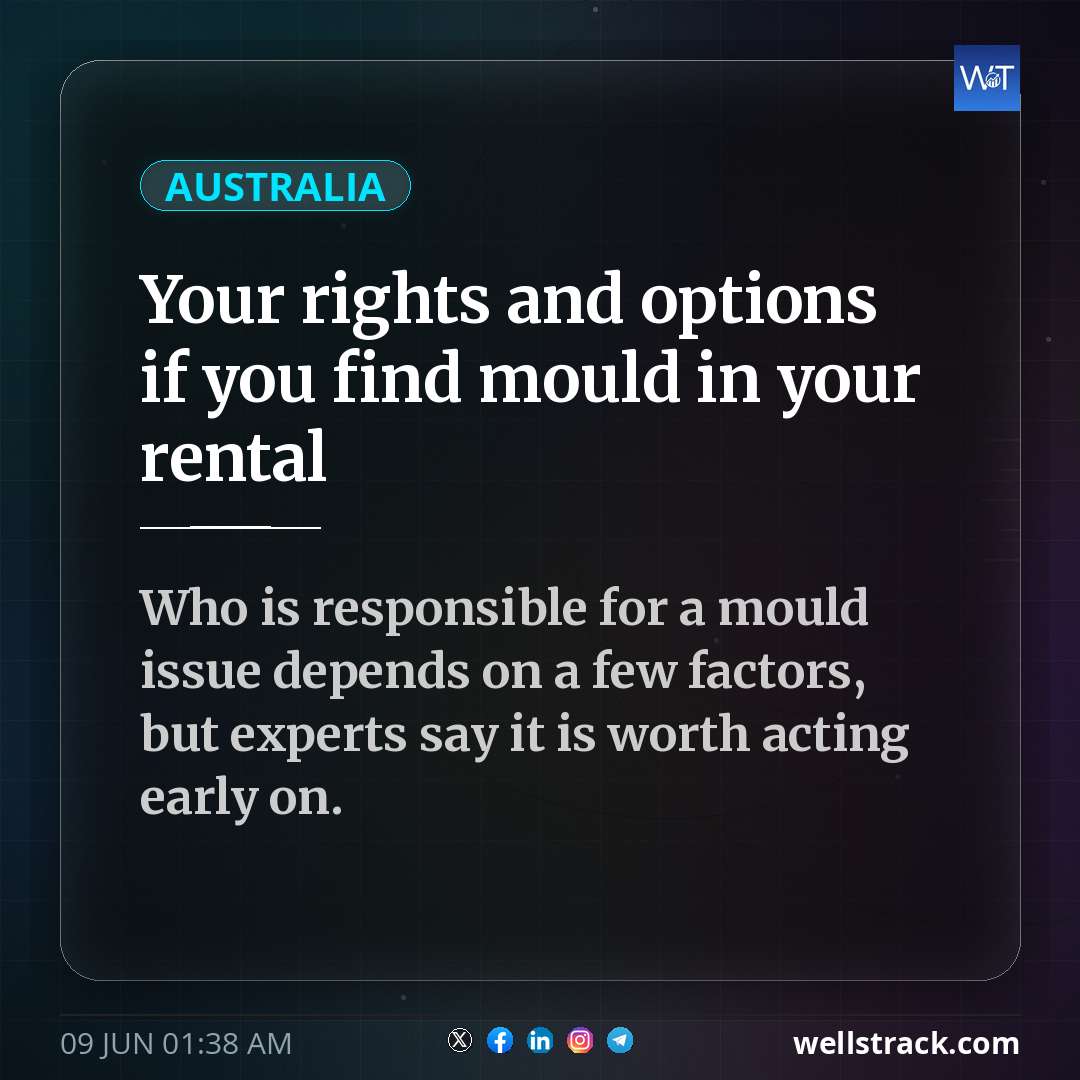 Your rights and options if you find mould in your rental — WellsTrack