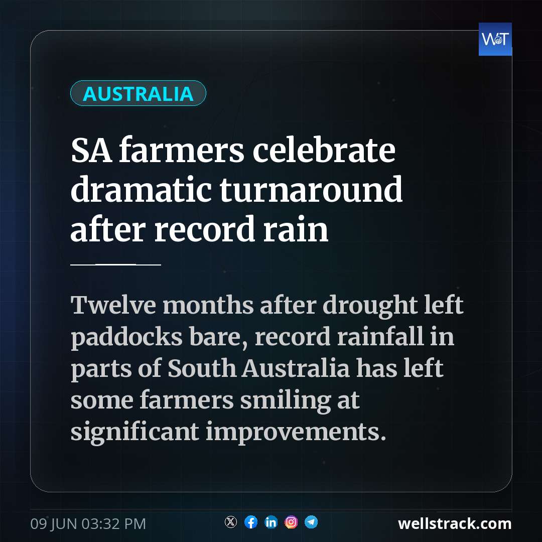 SA farmers celebrate dramatic turnaround after record rain — WellsTrack
