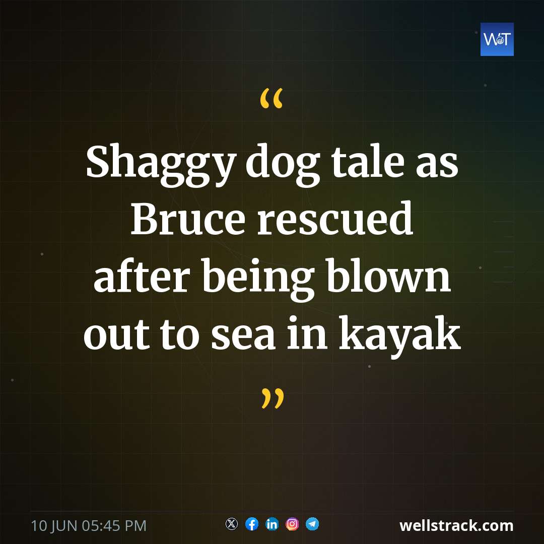 Shaggy dog tale as Bruce rescued after being blown out to sea in kayak — WellsTrack