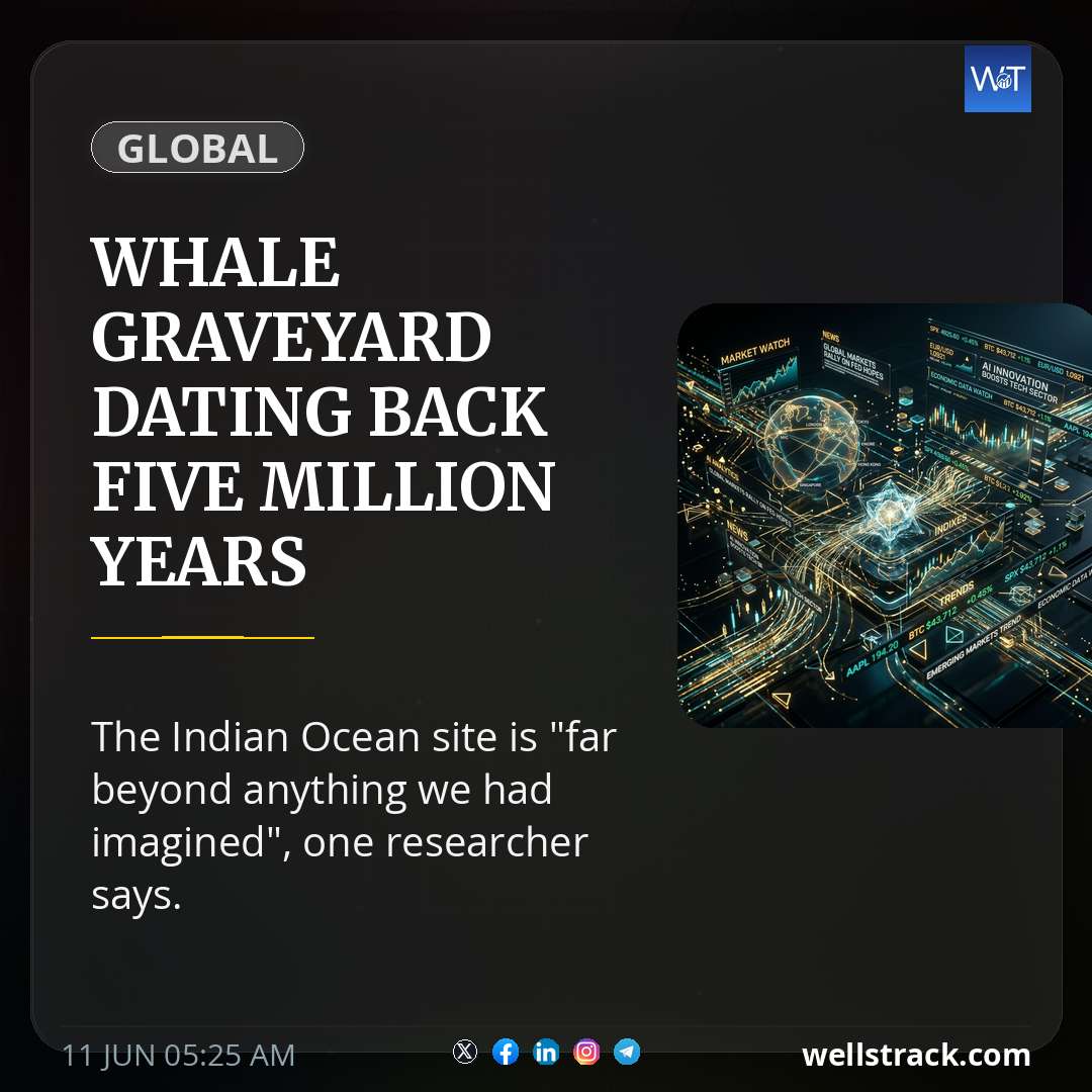 Whale graveyard dating back five million years discovered — WellsTrack
