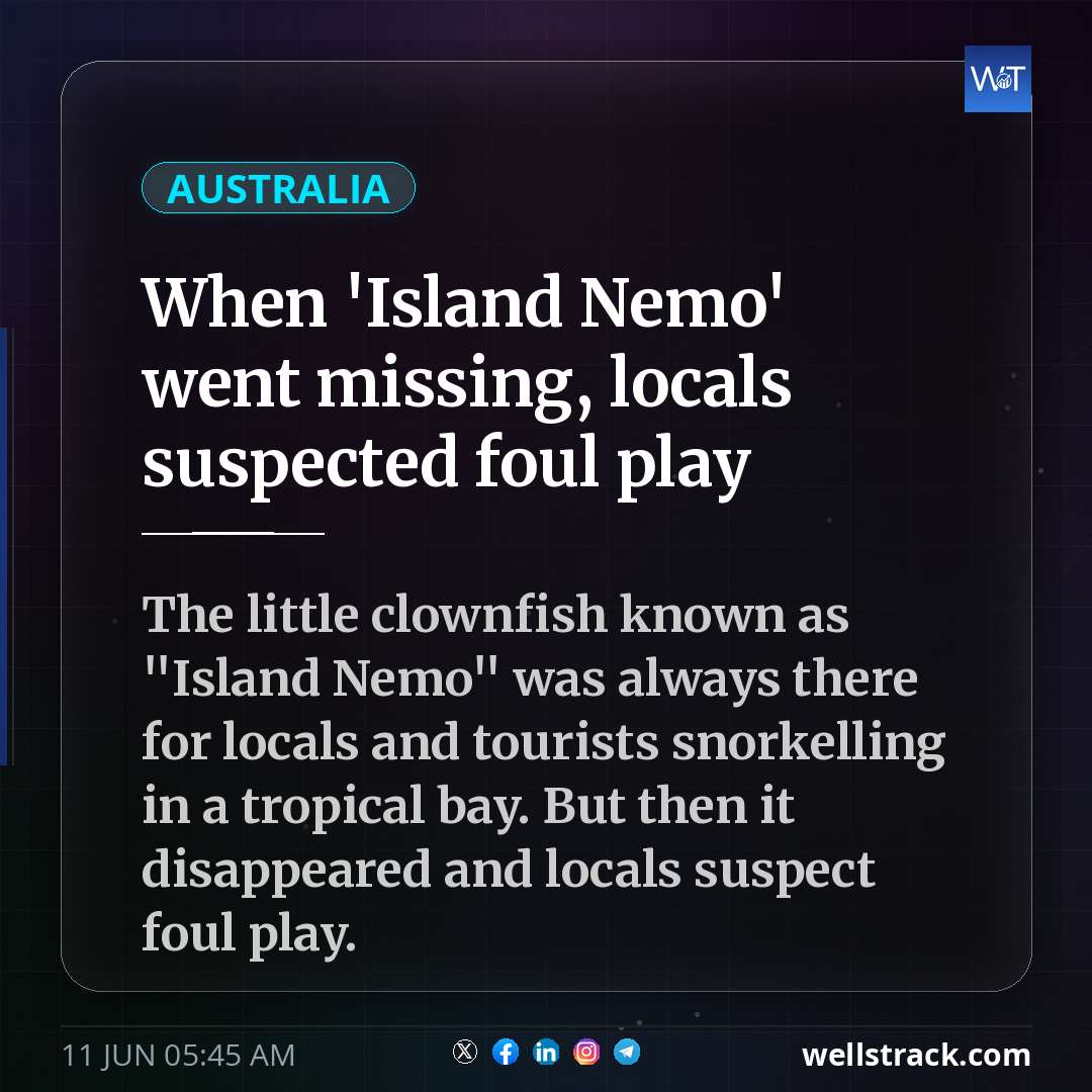 When 'Island Nemo' went missing, locals suspected foul play — WellsTrack