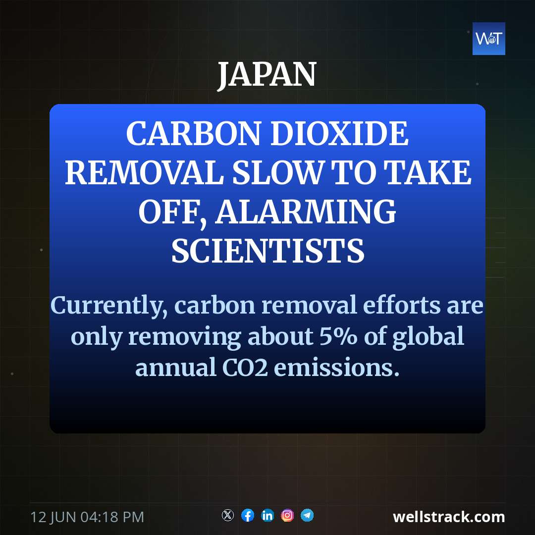 Carbon dioxide removal slow to take off, alarming scientists