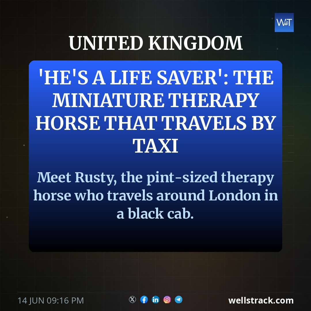 'He's a life saver': The miniature therapy horse that travels by taxi — WellsTrack