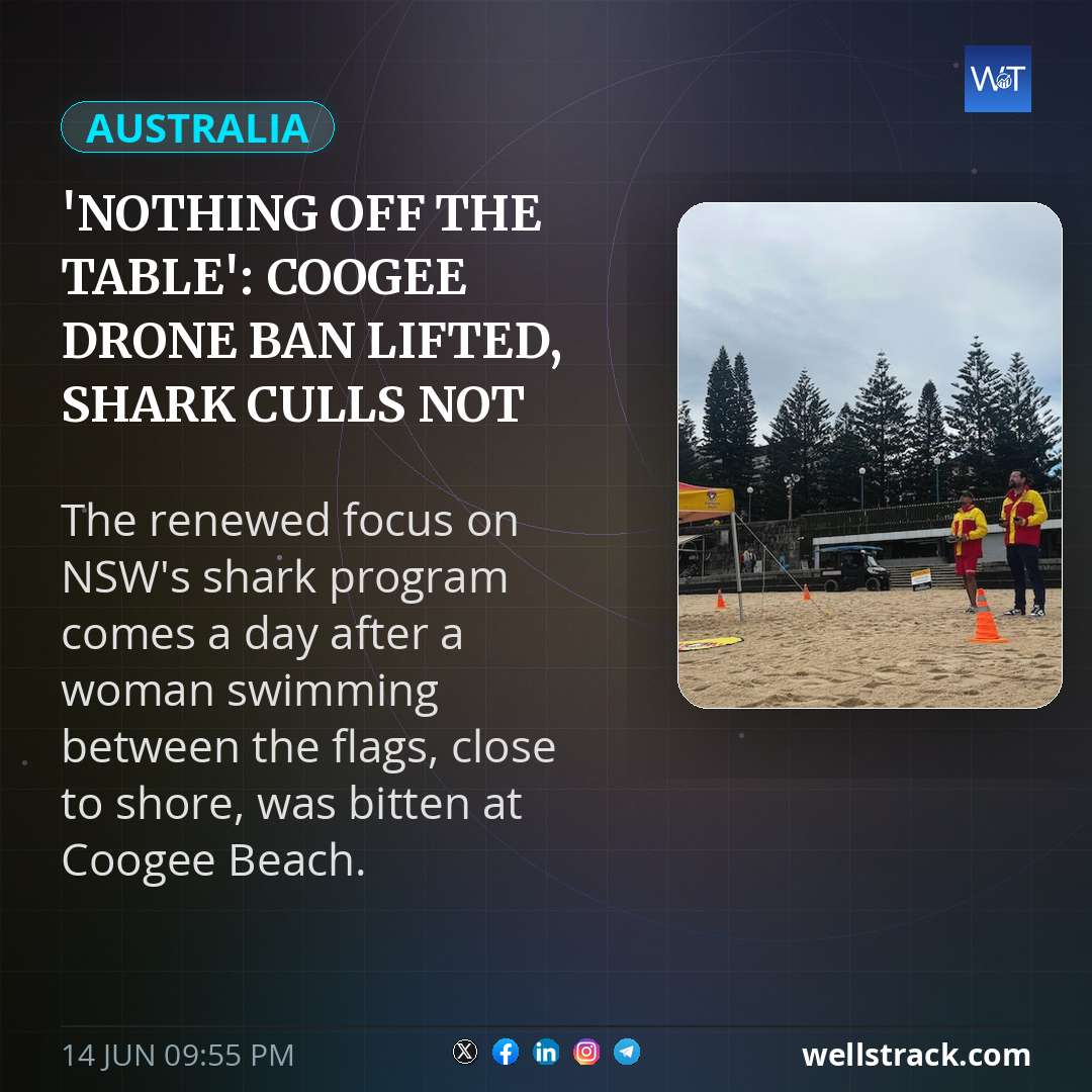 'Nothing off the table': Coogee drone ban lifted, shark culls not ruled out — WellsTrack