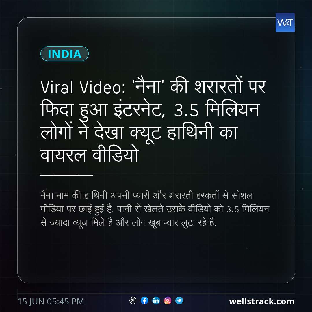 Viral Video: 'नैना' की शरारतों पर फिदा हुआ इंटरनेट, 3.5 मिलियन लोगों ने देखा क्यूट हाथिनी का वायरल वीडियो